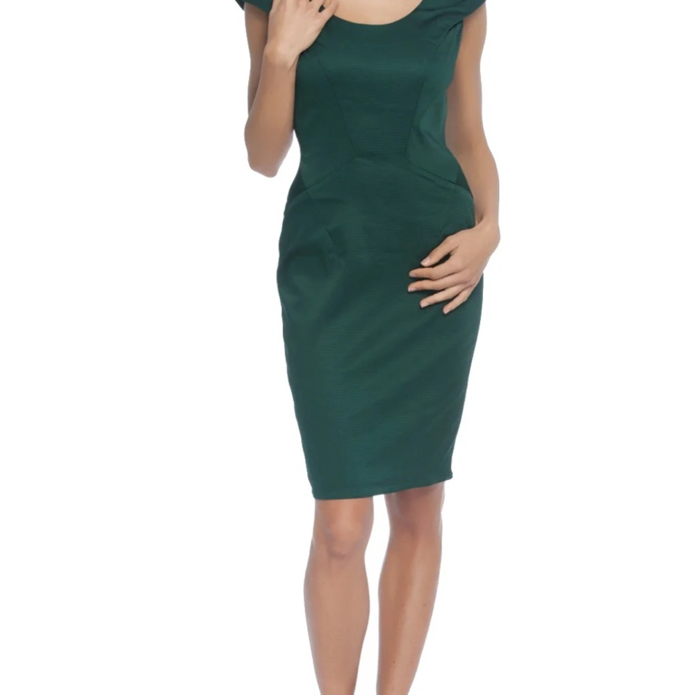 Elegant Zac Posen Green Dress
